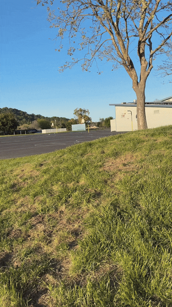 SecureBelt Secret Keeper